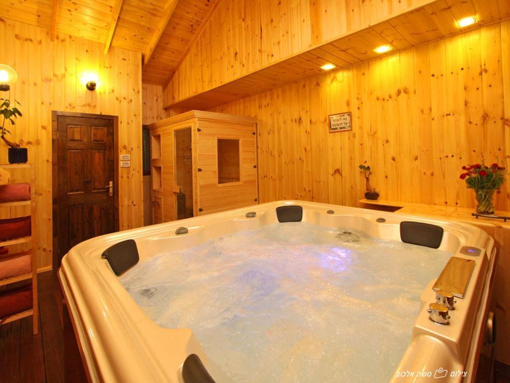 Suites & Spa Galilee Kirjat Šmona Exteriér fotografie